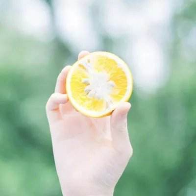 三界飞仙传手机版